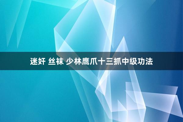 迷奸 丝袜 少林鹰爪十三抓中级功法