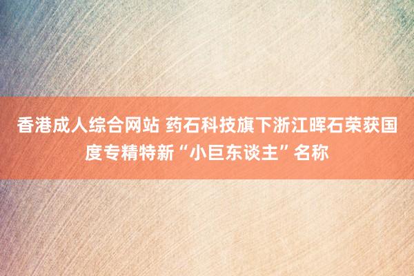 香港成人综合网站 药石科技旗下浙江晖石荣获国度专精特新“小巨东谈主”名称