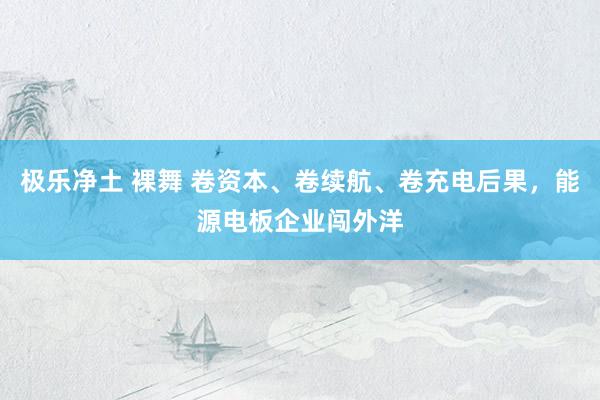 极乐净土 裸舞 卷资本、卷续航、卷充电后果，能源电板企业闯外洋