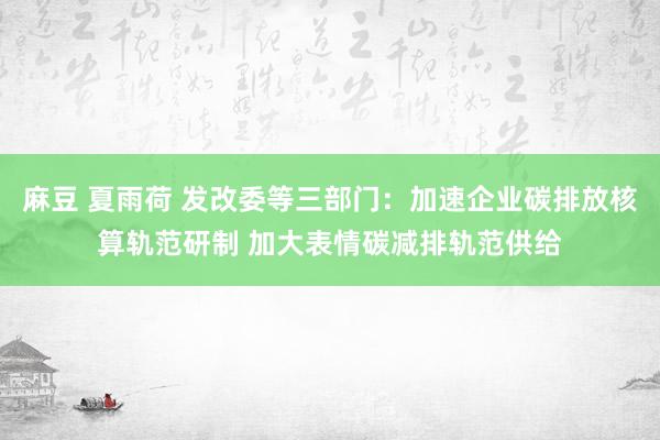 麻豆 夏雨荷 发改委等三部门：加速企业碳排放核算轨范研制 加大表情碳减排轨范供给