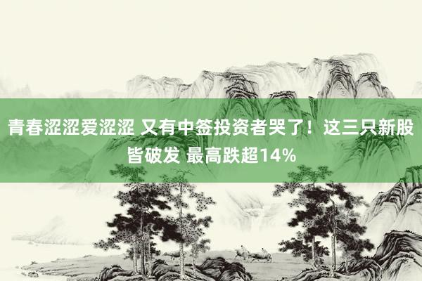 青春涩涩爱涩涩 又有中签投资者哭了！这三只新股皆破发 最高跌超14%