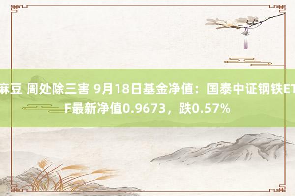 麻豆 周处除三害 9月18日基金净值：国泰中证钢铁ETF最新净值0.9673，跌0.57%