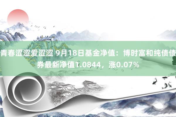 青春涩涩爱涩涩 9月18日基金净值：博时富和纯债债券最新净值1.0844，涨0.07%