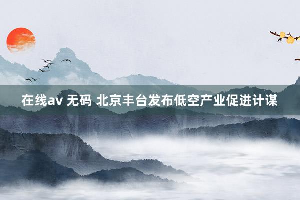 在线av 无码 北京丰台发布低空产业促进计谋