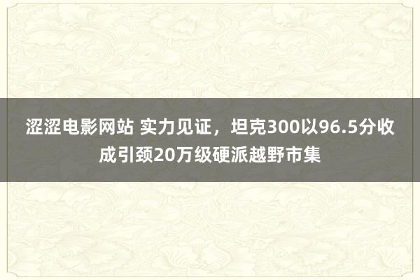 涩涩电影网站 实力见证，坦克300以96.5分收成引颈20万级硬派越野市集