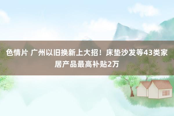 色情片 广州以旧换新上大招！床垫沙发等43类家居产品最高补贴2万