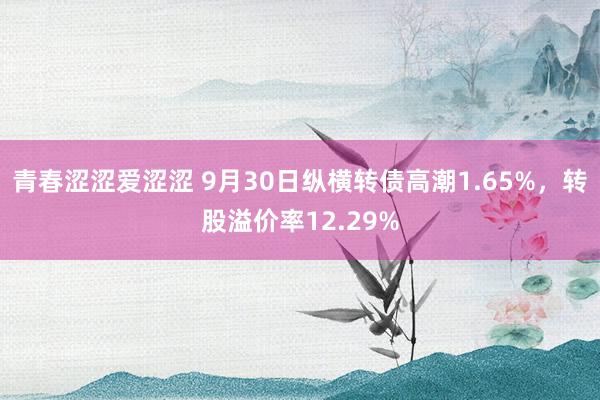 青春涩涩爱涩涩 9月30日纵横转债高潮1.65%，转股溢价率12.29%