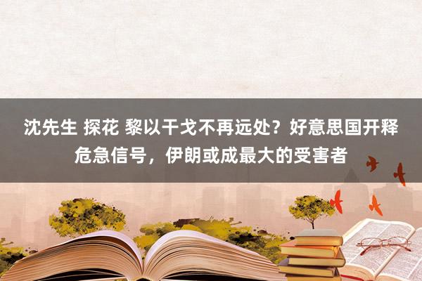 沈先生 探花 黎以干戈不再远处？好意思国开释危急信号，伊朗或成最大的受害者