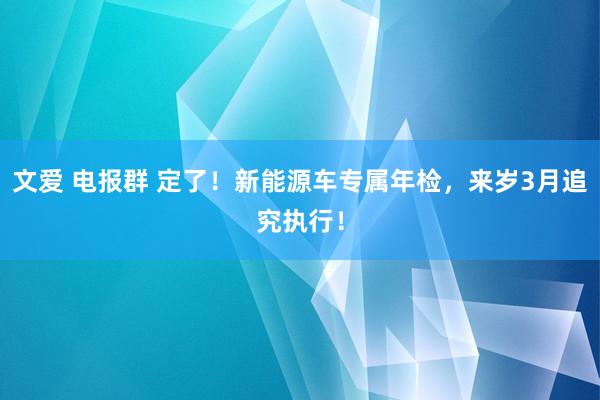 文爱 电报群 定了！新能源车专属年检，来岁3月追究执行！