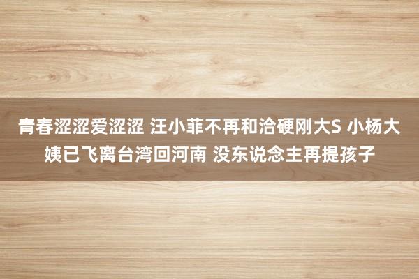 青春涩涩爱涩涩 汪小菲不再和洽硬刚大S 小杨大姨已飞离台湾回河南 没东说念主再提孩子