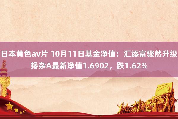 日本黄色av片 10月11日基金净值：汇添富骤然升级搀杂A最新净值1.6902，跌1.62%