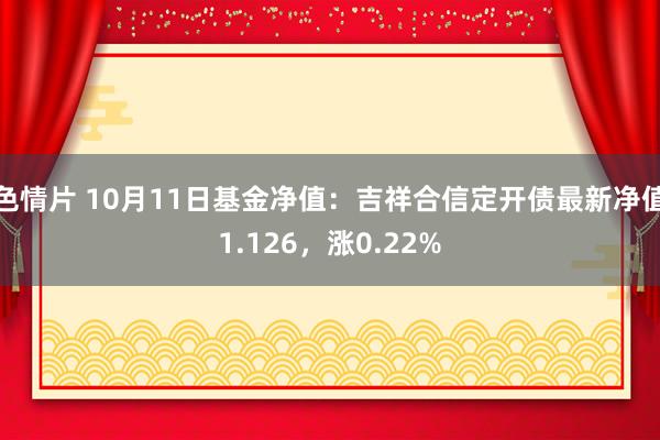 色情片 10月11日基金净值：吉祥合信定开债最新净值1.126，涨0.22%