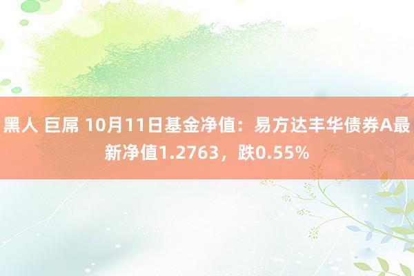 黑人 巨屌 10月11日基金净值：易方达丰华债券A最新净值1.2763，跌0.55%