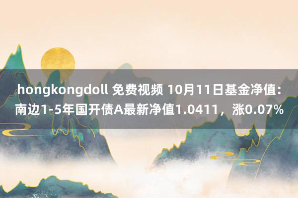 hongkongdoll 免费视频 10月11日基金净值：南边1-5年国开债A最新净值1.0411，涨0.07%