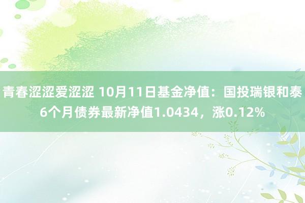 青春涩涩爱涩涩 10月11日基金净值：国投瑞银和泰6个月债券最新净值1.0434，涨0.12%