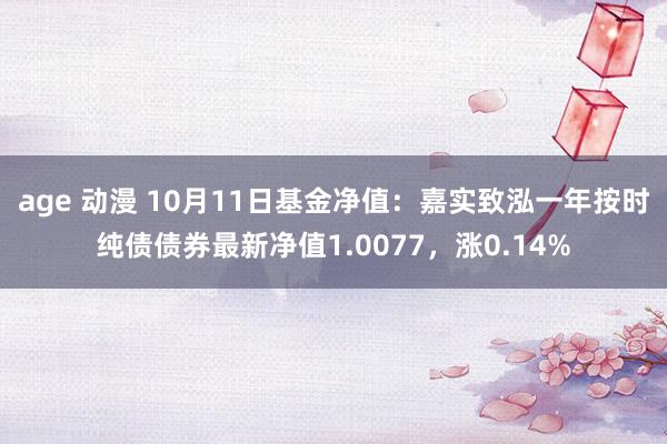 age 动漫 10月11日基金净值：嘉实致泓一年按时纯债债券最新净值1.0077，涨0.14%