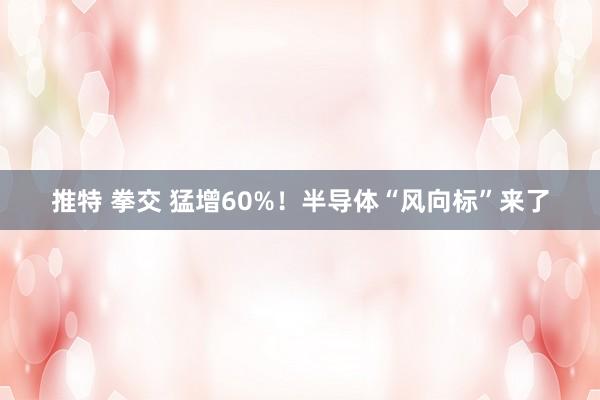 推特 拳交 猛增60%！半导体“风向标”来了