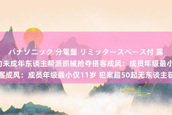 パナソニック 分電盤 リミッタースペース付 露出・半埋込両用形 纽约未成年东谈主帮派抓械抢夺搭客成风：成员年级最小仅11岁 犯案超50起无东谈主获刑