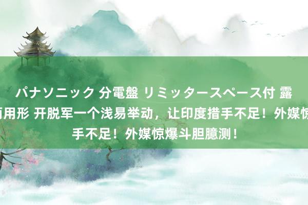 パナソニック 分電盤 リミッタースペース付 露出・半埋込両用形 开脱军一个浅易举动，让印度措手不足！外媒惊爆斗胆臆测！