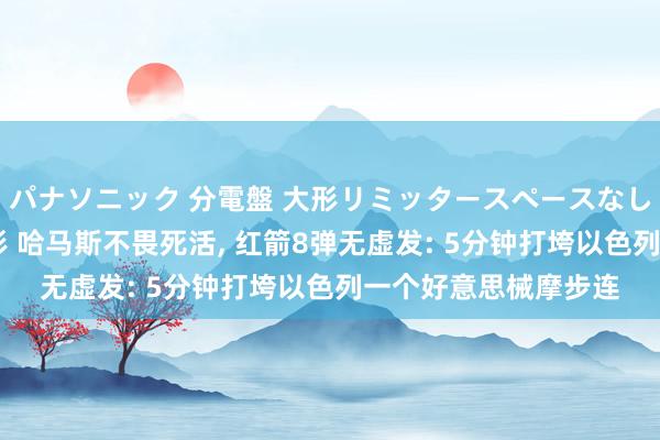 パナソニック 分電盤 大形リミッタースペースなし 露出・半埋込両用形 哈马斯不畏死活， 红箭8弹无虚发: 5分钟打垮以色列一个好意思械摩步连