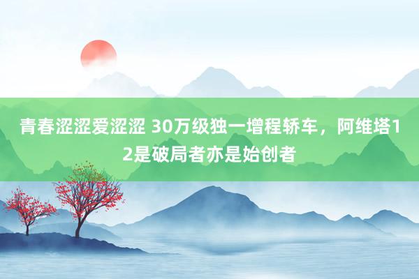 青春涩涩爱涩涩 30万级独一增程轿车，阿维塔12是破局者亦是始创者