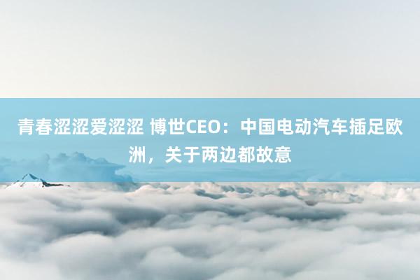 青春涩涩爱涩涩 博世CEO：中国电动汽车插足欧洲，关于两边都故意