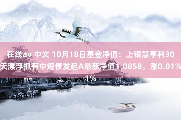 在线av 中文 10月18日基金净值：上银慧享利30天漂浮抓有中短债发起A最新净值1.0858，涨0.01%