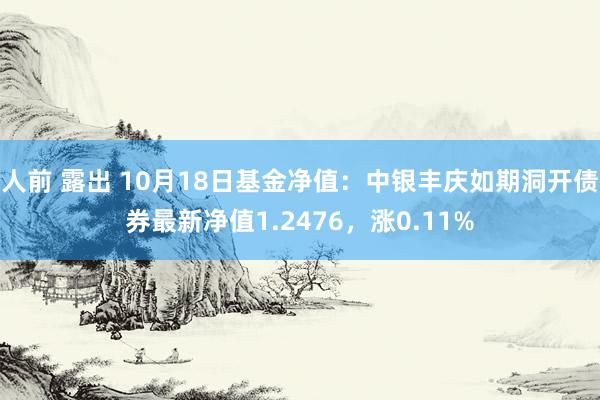 人前 露出 10月18日基金净值：中银丰庆如期洞开债券最新净值1.2476，涨0.11%