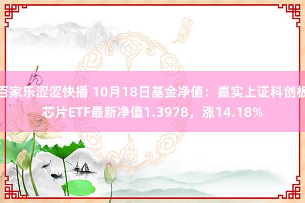 百家乐涩涩快播 10月18日基金净值：嘉实上证科创板芯片ETF最新净值1.3978，涨14.18%