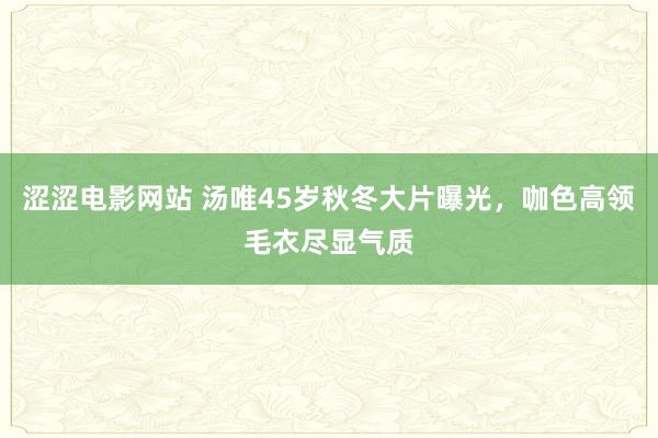 涩涩电影网站 汤唯45岁秋冬大片曝光，咖色高领毛衣尽显气质