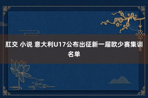 肛交 小说 意大利U17公布出征新一届欧少赛集训名单