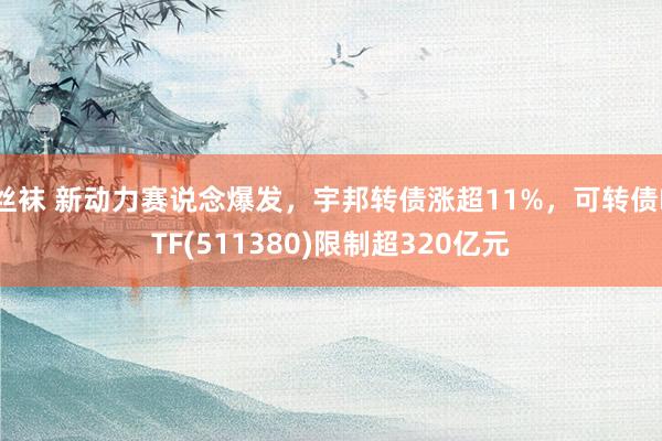 丝袜 新动力赛说念爆发，宇邦转债涨超11%，可转债ETF(511380)限制超320亿元