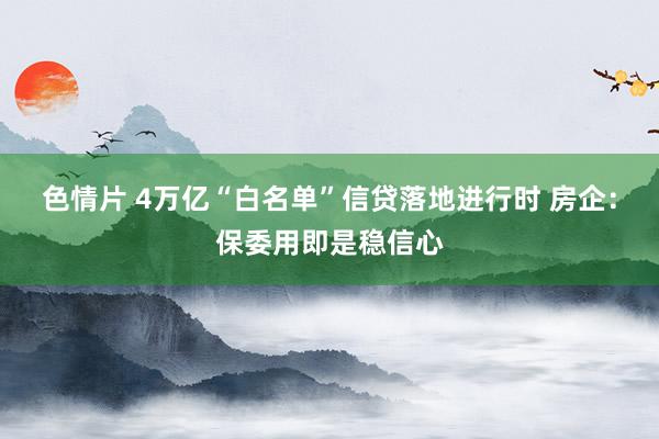 色情片 4万亿“白名单”信贷落地进行时 房企：保委用即是稳信心