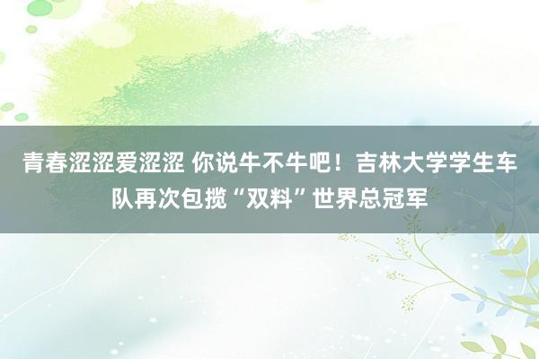 青春涩涩爱涩涩 你说牛不牛吧！吉林大学学生车队再次包揽“双料”世界总冠军