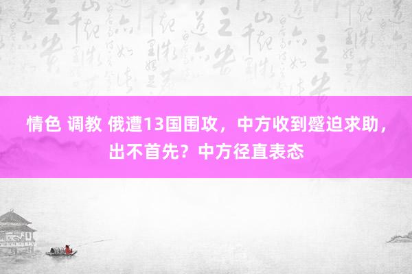 情色 调教 俄遭13国围攻，中方收到蹙迫求助，出不首先？中方径直表态