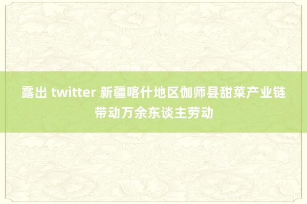 露出 twitter 新疆喀什地区伽师县甜菜产业链带动万余东谈主劳动