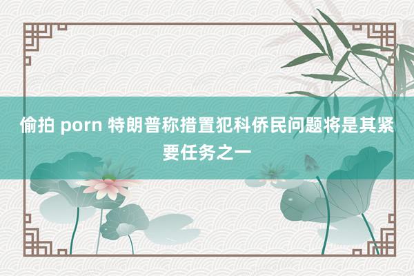 偷拍 porn 特朗普称措置犯科侨民问题将是其紧要任务之一