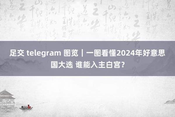 足交 telegram 图览｜一图看懂2024年好意思国大选 谁能入主白宫？