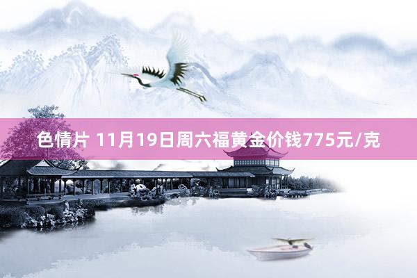 色情片 11月19日周六福黄金价钱775元/克