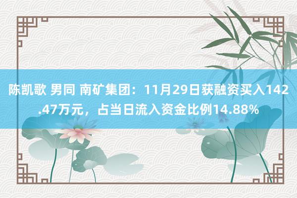 陈凯歌 男同 南矿集团：11月29日获融资买入142.47万元，占当日流入资金比例14.88%