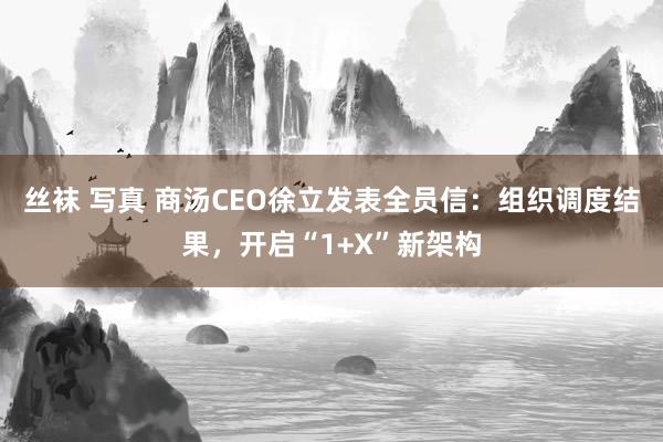 丝袜 写真 商汤CEO徐立发表全员信：组织调度结果，开启“1+X”新架构