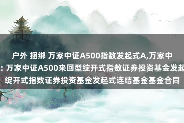 户外 捆绑 万家中证A500指数发起式A，万家中证A500指数发起式C: 万家中证A500来回型绽开式指数证券投资基金发起式连结基金基金合同