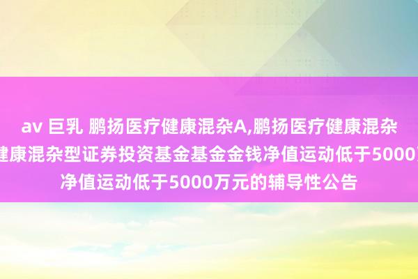 av 巨乳 鹏扬医疗健康混杂A，鹏扬医疗健康混杂C: 对于鹏扬医疗健康混杂型证券投资基金基金金钱净值运动低于5000万元的辅导性公告