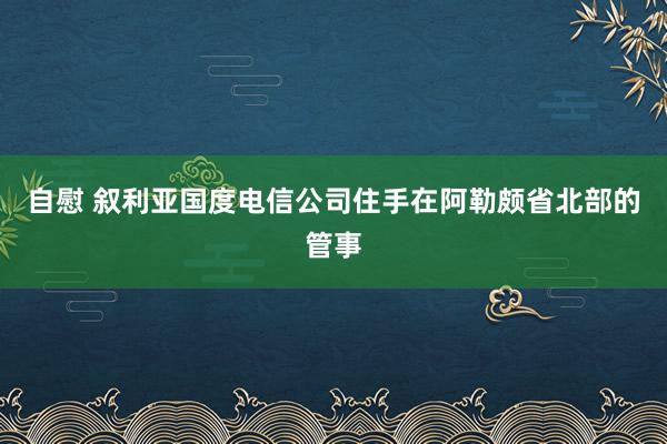 自慰 叙利亚国度电信公司住手在阿勒颇省北部的管事