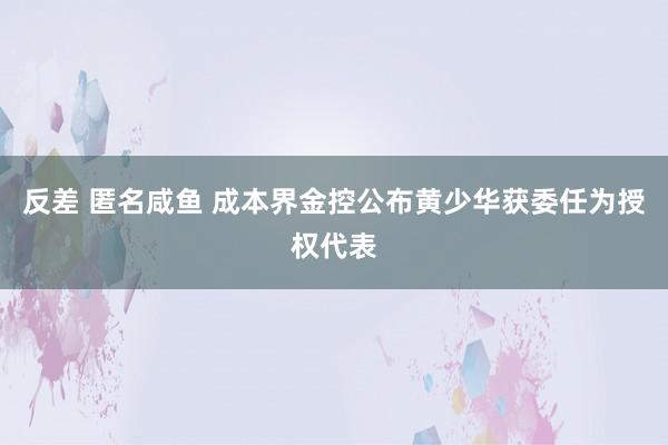 反差 匿名咸鱼 成本界金控公布黄少华获委任为授权代表