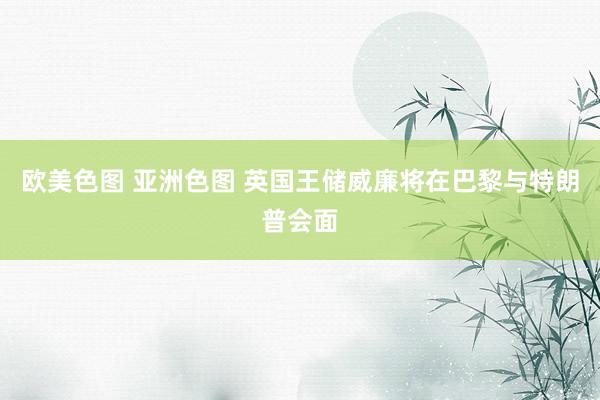 欧美色图 亚洲色图 英国王储威廉将在巴黎与特朗普会面