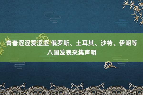 青春涩涩爱涩涩 俄罗斯、土耳其、沙特、伊朗等八国发表采集声明