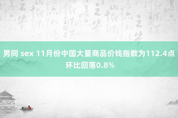 男同 sex 11月份中国大量商品价钱指数为112.4点 环比回落0.8%