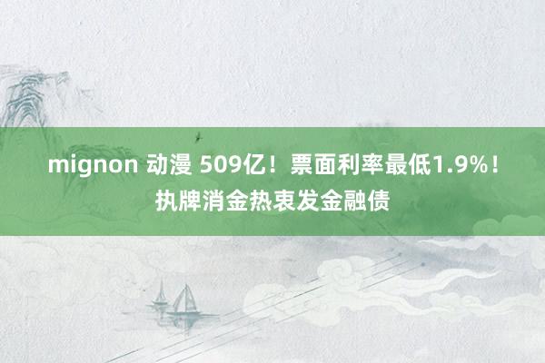 mignon 动漫 509亿！票面利率最低1.9%！执牌消金热衷发金融债