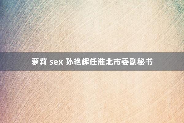 萝莉 sex 孙艳辉任淮北市委副秘书